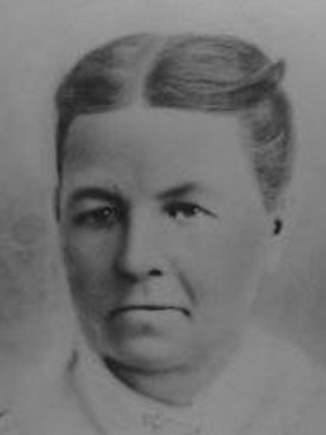 Ann Cresswell Gower (1843 - 1914) Profile